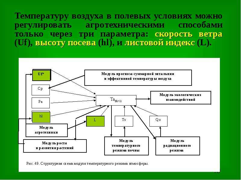 Регулирование воздушного режима. Экологические взаимодействия. Полевой модуль экология. Взаимодействие экосистем.