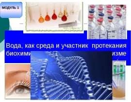 Вода как среда и участник протекания биохимических процессов в организме