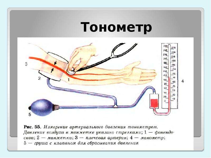 История создания тонометра презентация