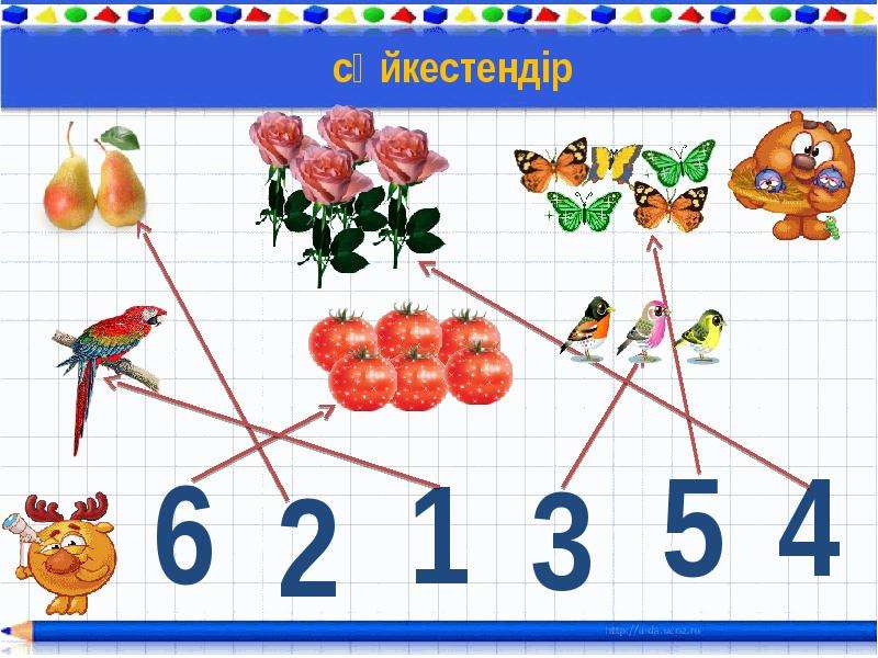 Комплекс сандар презентация