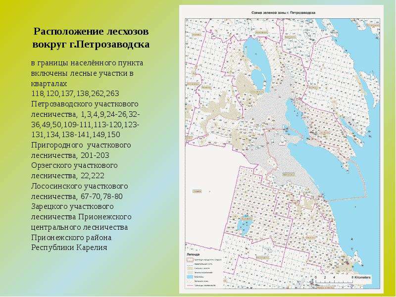 Расположение лесхозов вокруг г. Петрозаводска в границы населённого пункта включены лесные участки в
