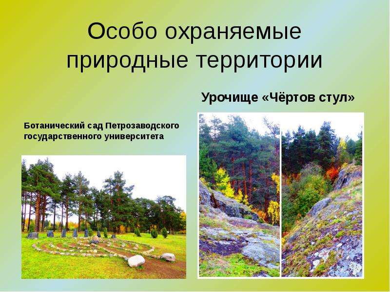 Особо охраняемые природные территории Ботанический сад Петрозаводского государственного университета