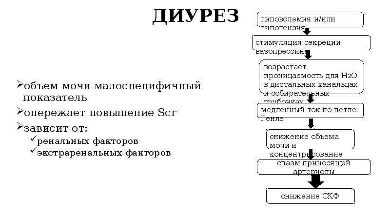 Стадия диуреза. Факторы влияющие на диурез по фазам. Факторы влияющие на диурез таблица. Изучите факторы влияющие на диурез. Факторы влияющие на диурез таблица с фазами.