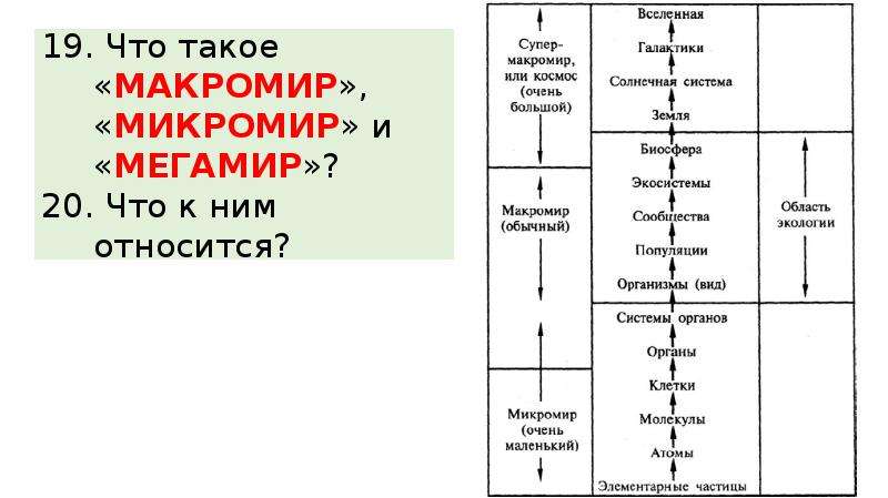 Законы микромира. Микромир Макромир и Мегамир таблица. Структурные уровни материи: Макромир, микромир и Мегамир.. Макромир это в естествознании. Отличие макромира от микромира.