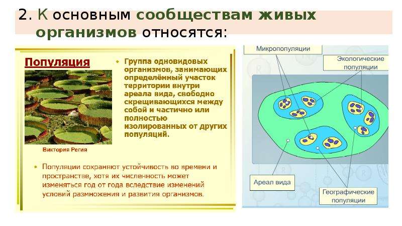 Презентация по биологии сообщества живых организмов