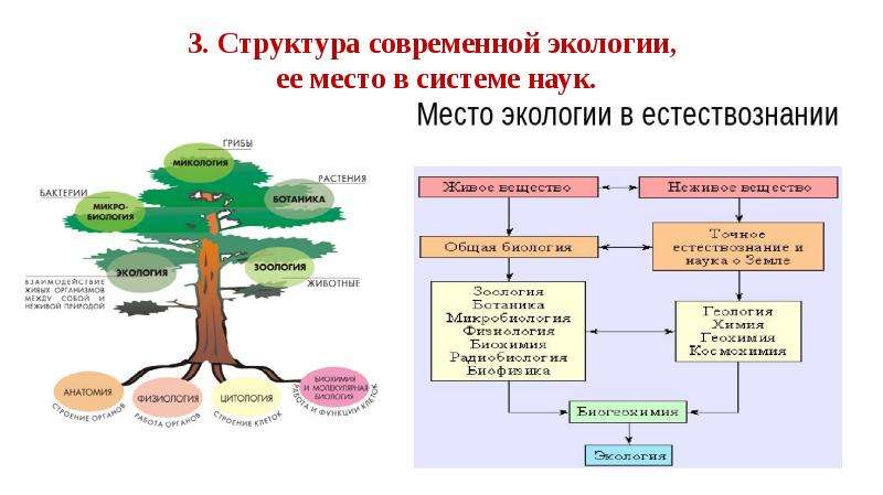 Схема окружающей среды