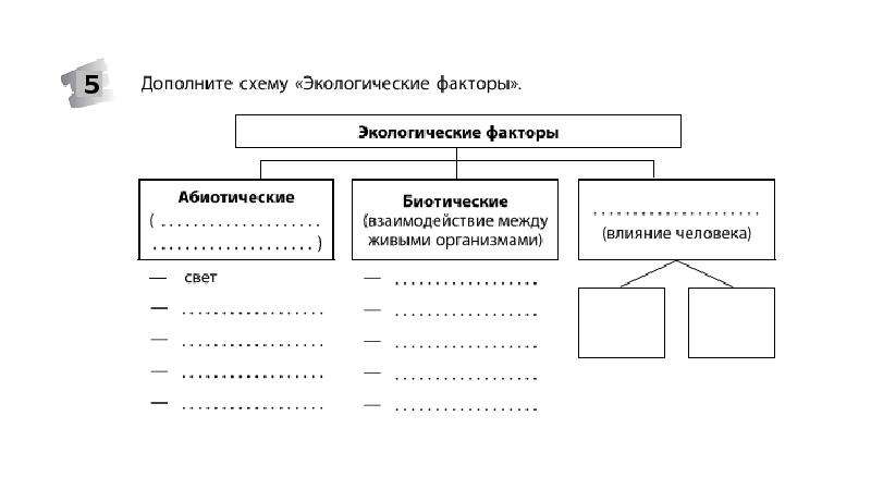 Схема классификация экологических факторов