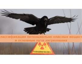 Классификация потенциально опасных веществ и основные пути загрязнения