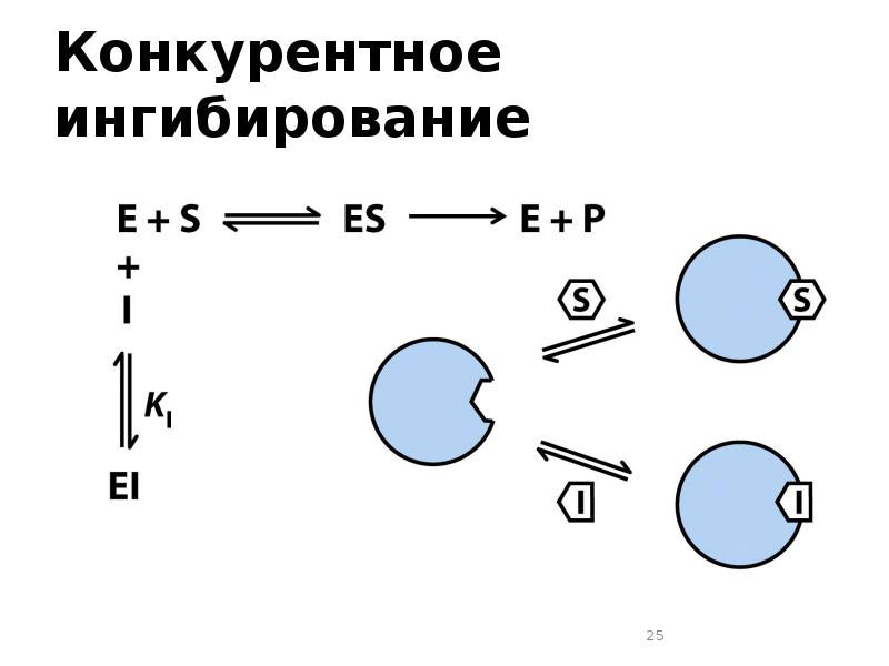 Модель моно