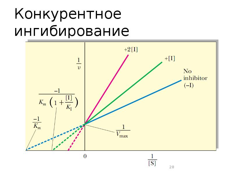 Схема конкурентного ингибирования