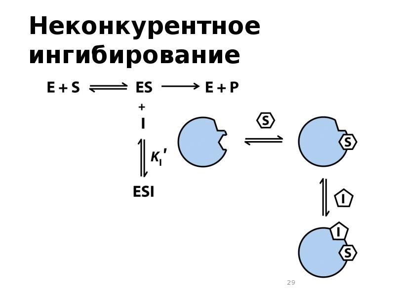 Неконкурентное ингибирование схема