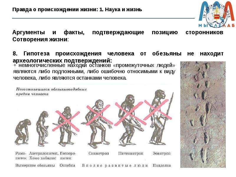 Высок происхождение. Правда о происхождении человека. Теория внешнего вмешательства происхождения человека. Алюторка Национальность. Роколи происхождение.