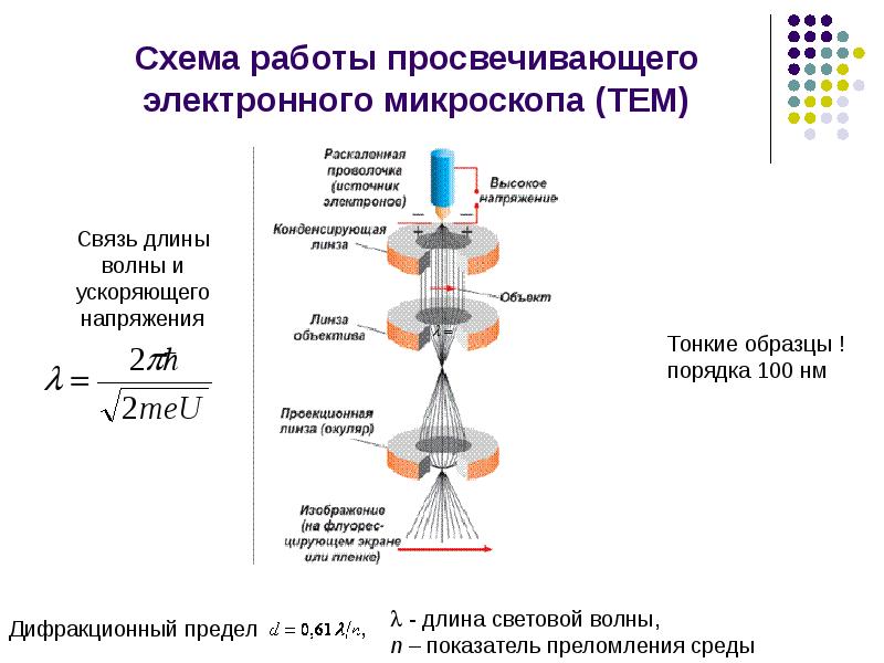 Просвечивающая электронная микроскопия