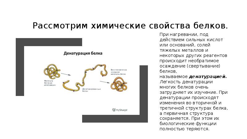 Рассмотрите химические свойства