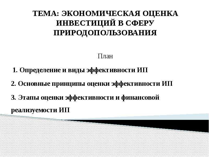 Презентация экономическая оценка инвестиций