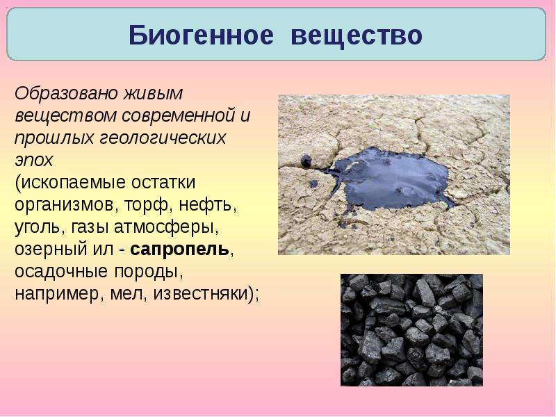 Какие породы образуются из останков живых. Остатки организмов в торфе. Сапропель нефть или уголь. Кварцевый песок какое вещество биосферы. Булыжник это какое вещество биосферы.
