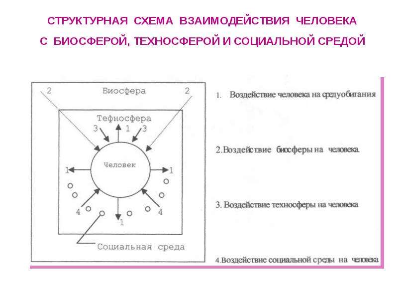 Элементы схемы взаимодействия человека со средой обитания