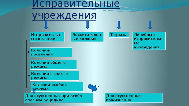 Схема таблица управление деятельностью тюрем и следственных изоляторов фсин россии