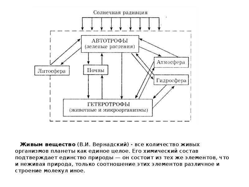 Экологические проблемы в биосфере охрана природы презентация 9 класс