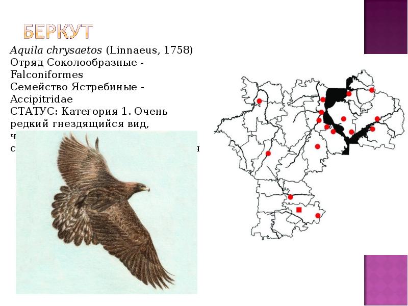 Красная книга растений ульяновской области проект