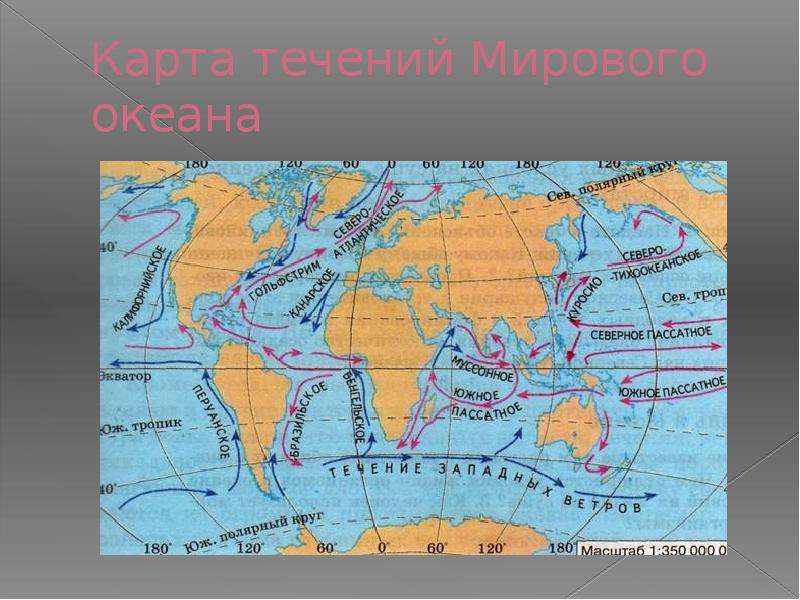 Холодные течения мирового океана 7 класс