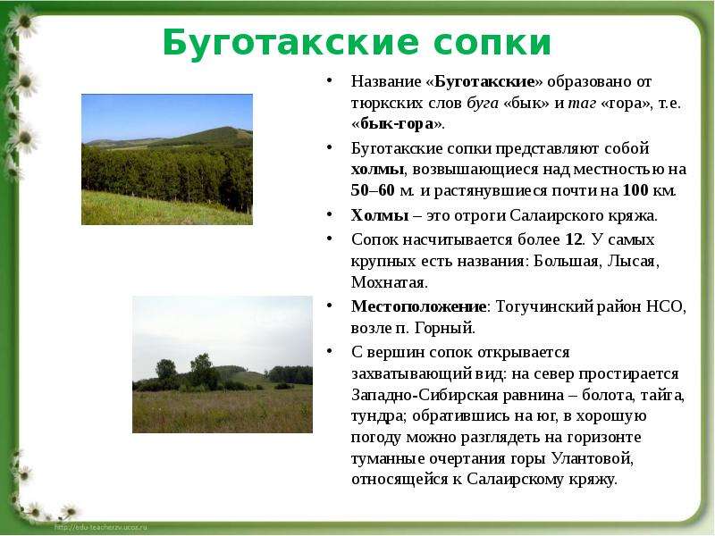 Буготакские сопки Название «Буготакские» образовано от тюркских слов буга «бык» и таг «гора», т. е.