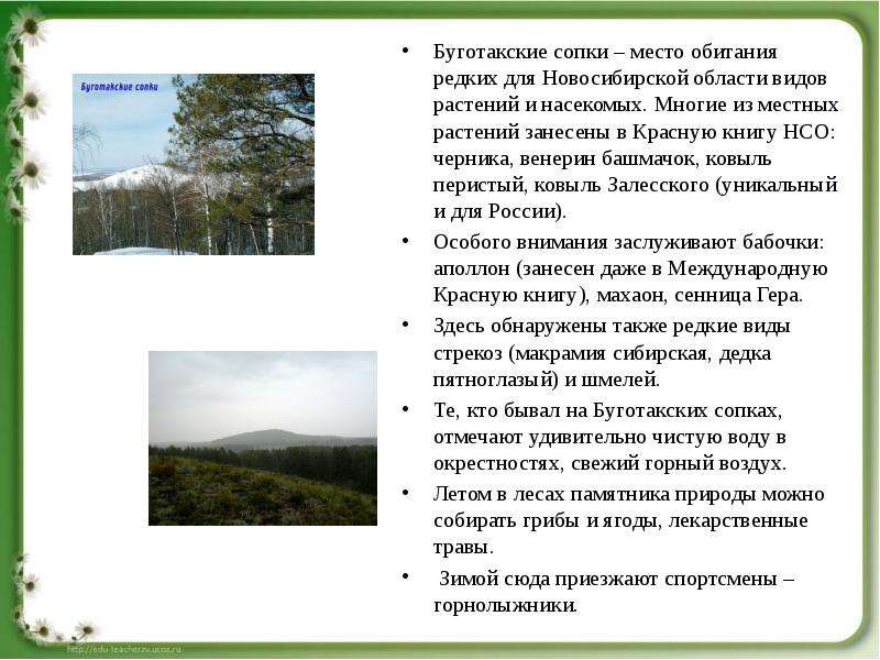Буготакские сопки – место обитания редких для Новосибирской области видов растений и насекомых. Мног