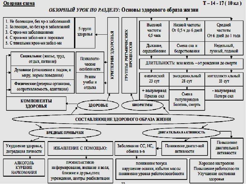 Опорные образы. Здоровый образ жизни и его составляющие ОБЖ 10 класс таблица. Основы здорового образа жизни схема. Основы здорового образа жизни таблица. Таблица ЗОЖ И его составляющие.