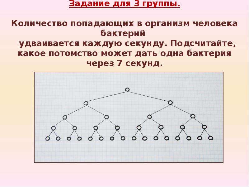 17 задание структура. Сколько будет составлять потомство бактерий через 6 часов. Через сколько из одной бактерии получится 1000. За 1 секунду в озере размножается 1 микроб, последующий в 2 раза больше.