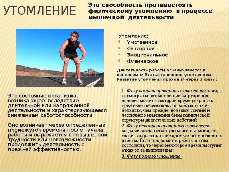 Способность организма противостоять утомлению