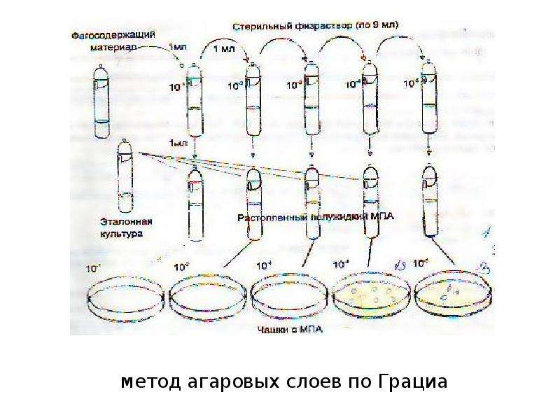 Химиотерапия схема sh0672