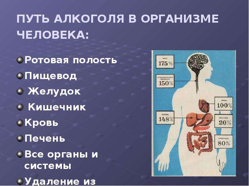 Попадают в организм человека. Путь алкоголя в организме. Алкоголь на организм человека. Попадание алкоголя в организм.