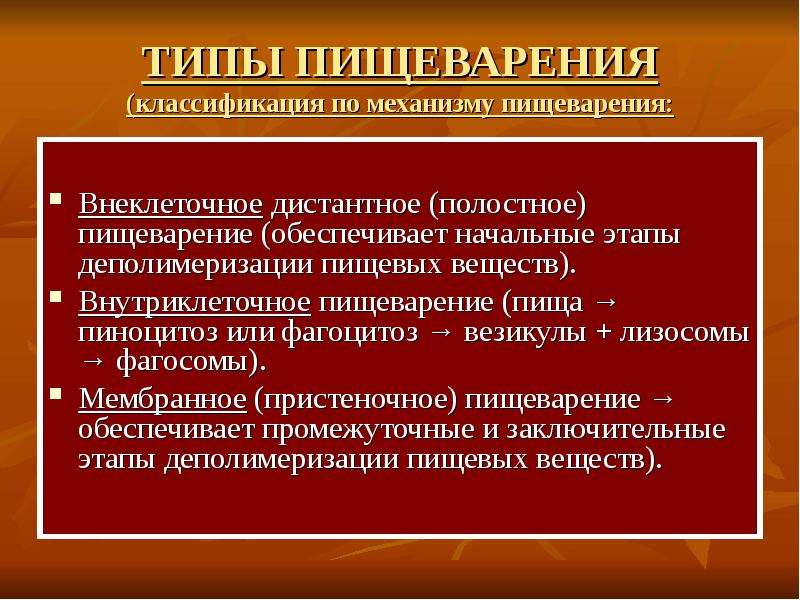 Внутриклеточное пищеварение. Типы пищеварения. Виды пищеварения у человека. Дистантное полостное пищеварение.