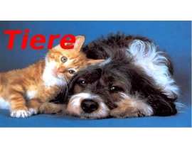 Tiere
