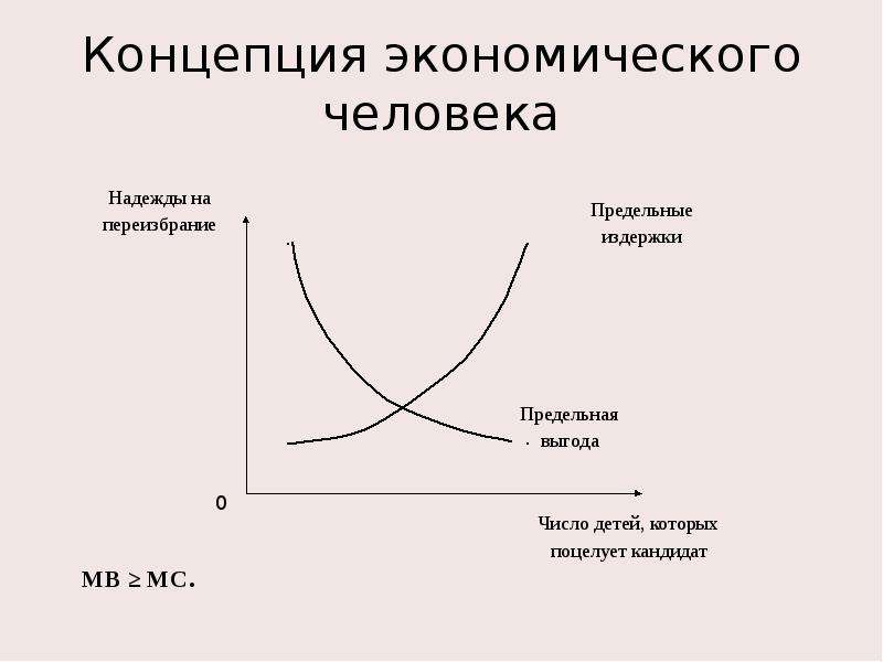 Экономика общественного выбора