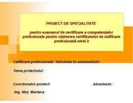 Proiect de specialitate pentru examenul de certificare