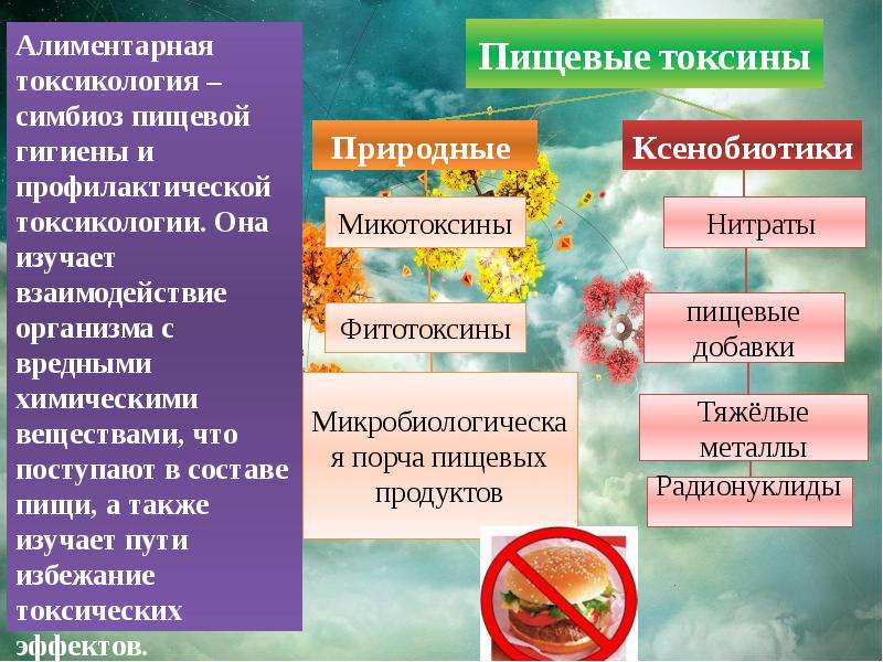 Источники загрязнения пищевых продуктов презентация