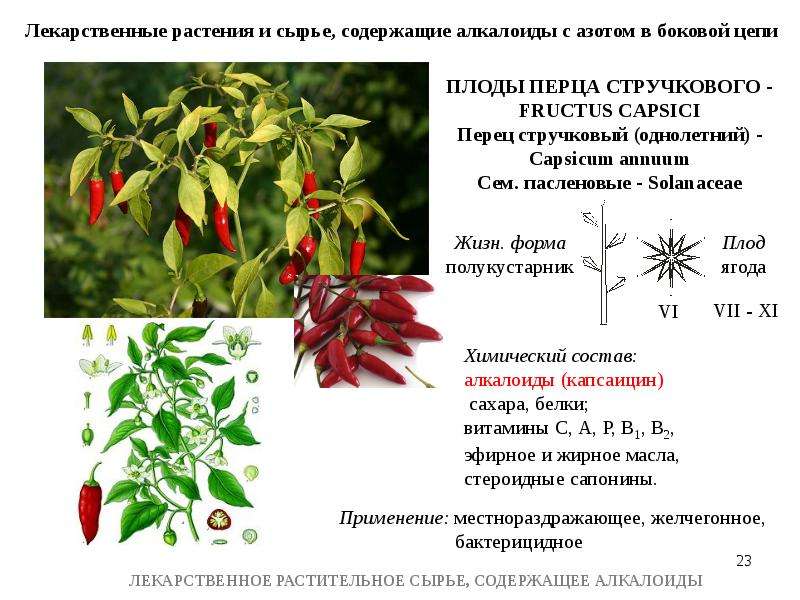 Лрс содержащие алкалоиды презентация