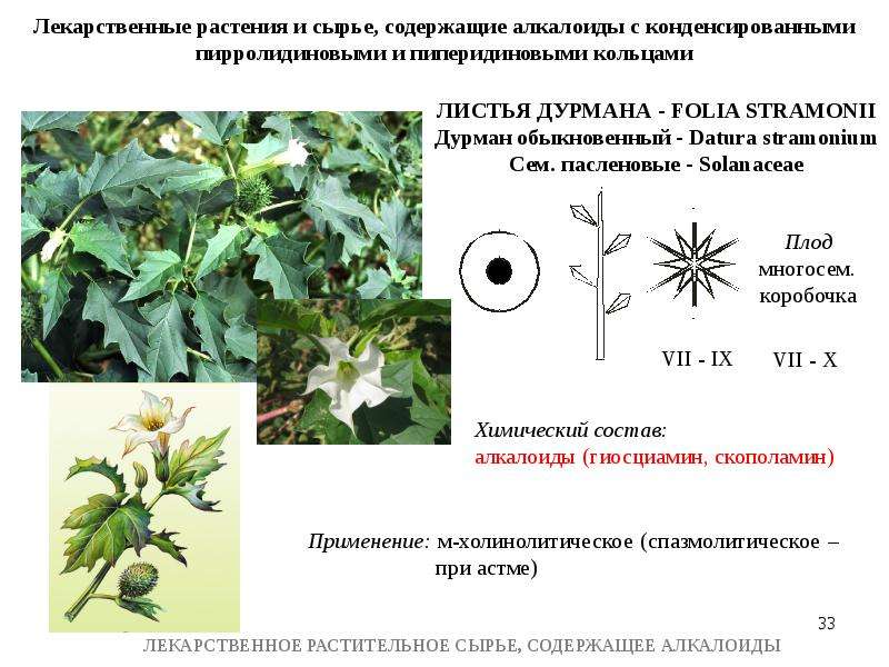Лрс содержащие алкалоиды презентация