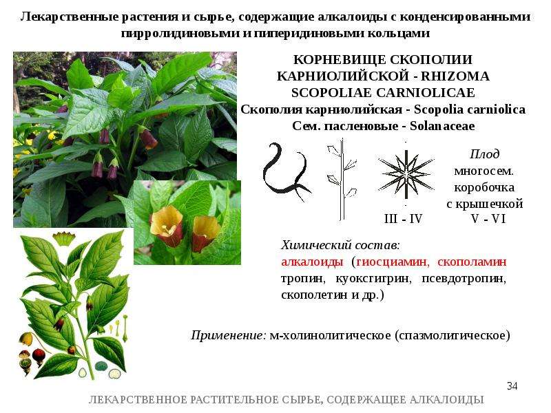 Лрс содержащие алкалоиды презентация