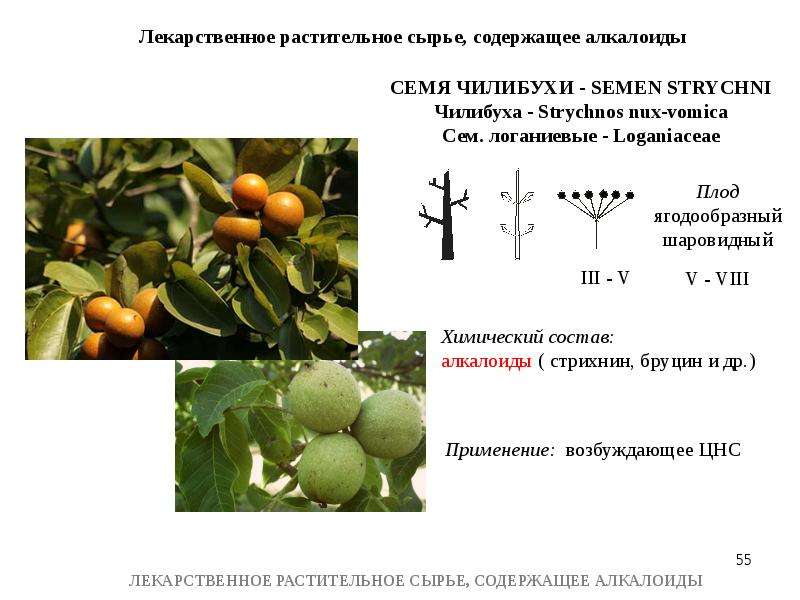 Лрс содержащие алкалоиды презентация