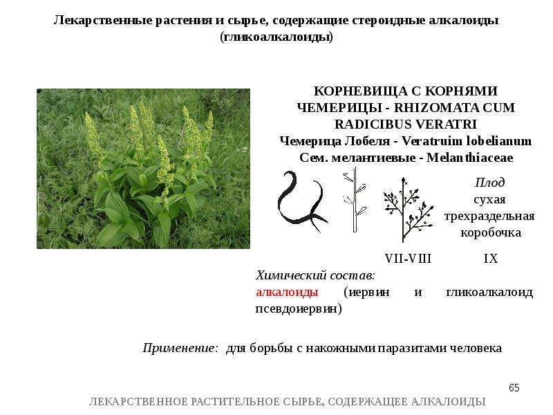 Лрс содержащие алкалоиды презентация