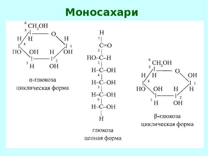 Напишите формулы глюкозы. Образование циклических форм моносахаридов. Аллоза циклическая. Открытые и циклические формы. Образование циклической формы Глюкозы.