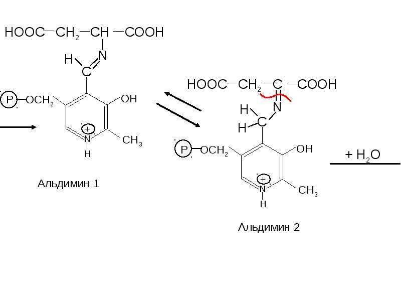 Hooc ch. Альдимин. Альдимин формула. Гидролиз альдиминов. Альдимин 2.