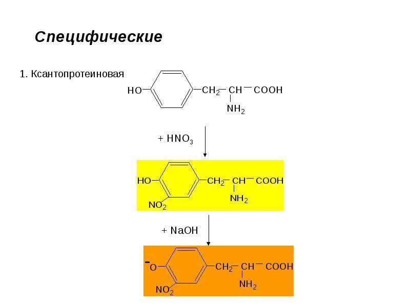 Ксантопротеиновая реакция рисунок