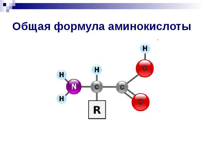 Белок формула. Общая структурная формула аминокислоты. Общая формула аминокислоты химия. Общая формула аминокислот. Формула аминокислоты белка.