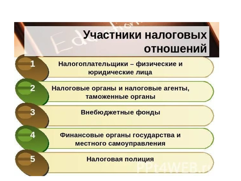 План правовой статус налогоплательщика в рф