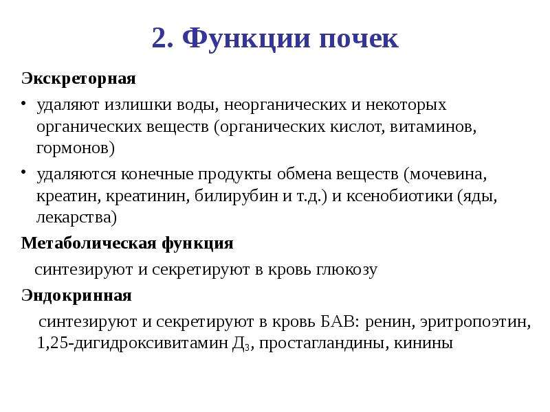 Функции почек. Экскреторная функция почек биохимия. Экскреторная функция почек физиология. Метаболическая функция почек физиология. Строение и функции почек биохимия.