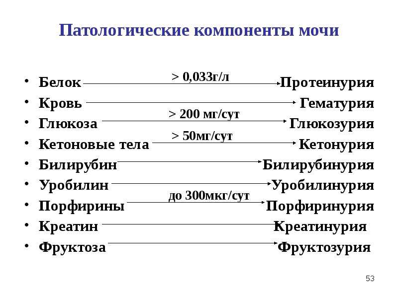 Биохимия почек и мочи биохимия презентация