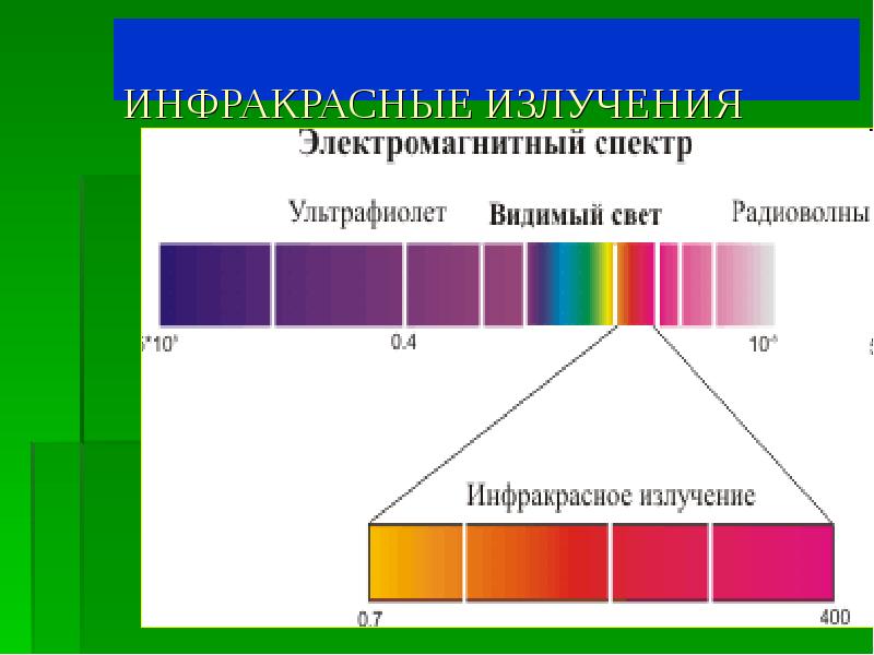 Видеть в ультрафиолетовом спектре